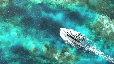 日间12 自由版